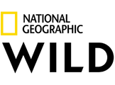 TV logo